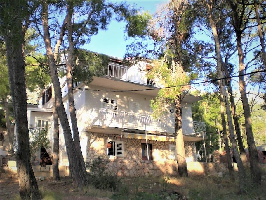 Apartment Veroni スヴェタ・ネデリャ エクステリア 写真